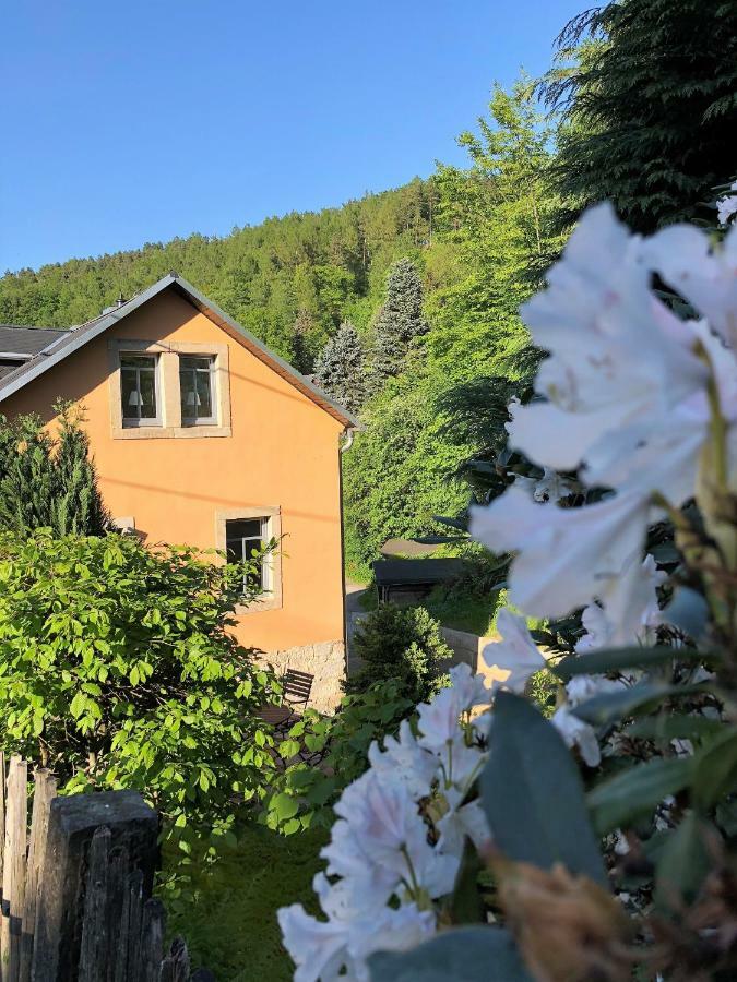 Adlerhorst Apartment